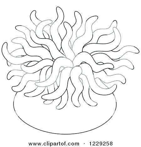 450x470 Plants Coloring Page Sea Plants Coloring Pages Sea Anemone