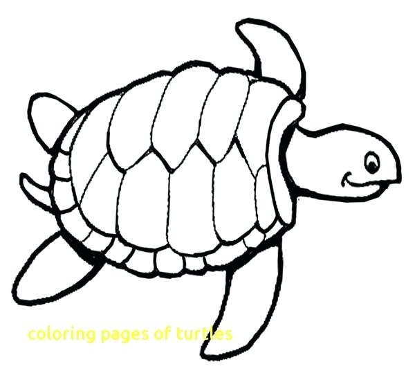 600x539 Sea Plants Coloring Pages Coloring Pages Of Turtles With Sea