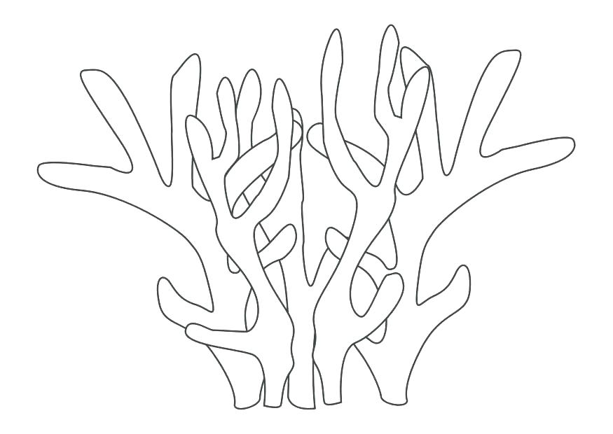 875x620 Coral Reef Coloring Page Coloring For Kids Ocean Plants Coloring