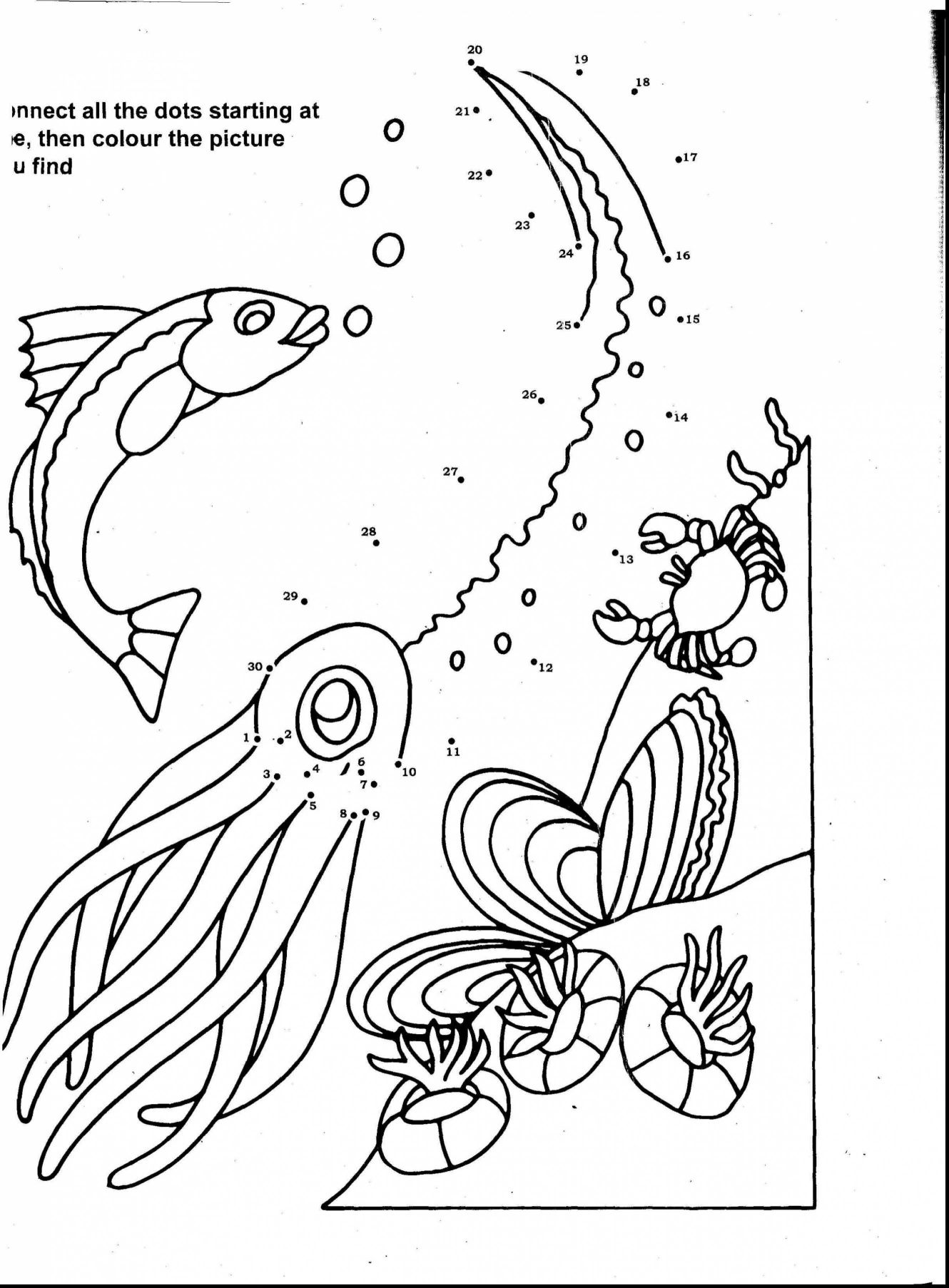 1330x1806 Inspiring Collection Of Ocean Plants And Coral Reef Elements Drawn