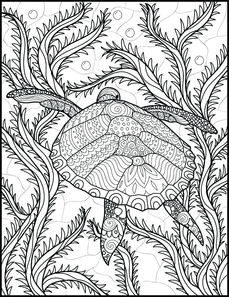 736x952 Ocean Scene Coloring Page Printable Ocean Coloring Pages Free