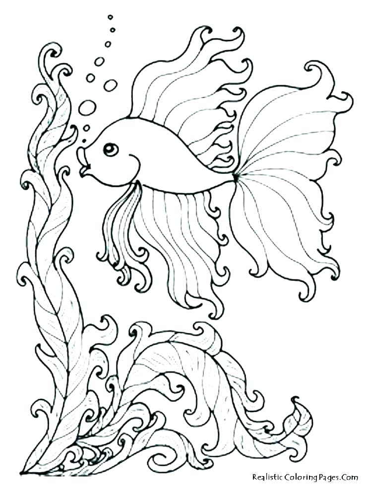 736x981 Underwater Scene Coloring Pages Ocean Scene Coloring Pages Ocean