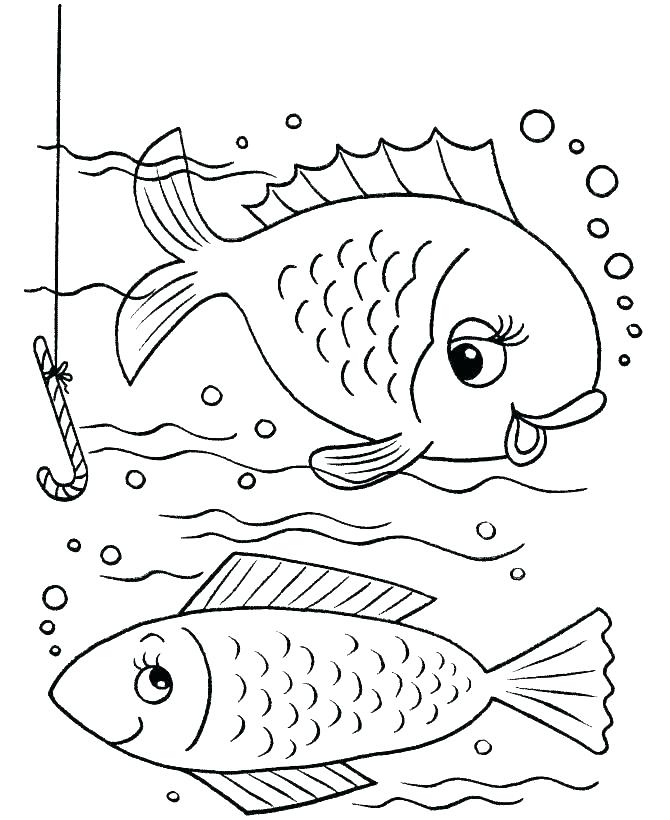 670x820 Coloring Pages Ocean Sea Life Pages Marine Ocean Theme Drawn
