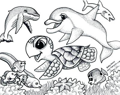 400x318 Beautiful Ocean Coloring Pages And Origami N Stuff Kids Coloring