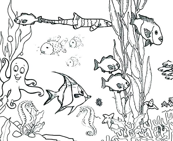 600x490 Coloring Pages Ocean