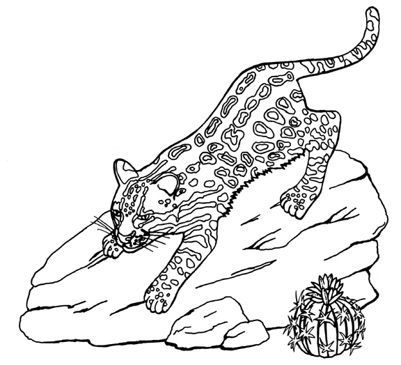 576x524 Ocelot Coloring Page