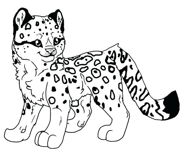 600x503 Snow Leopard Coloring Pages Ocelot Coloring Page Snow Leopard