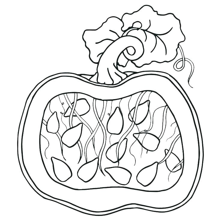 736x736 October Coloring Pages Coloring Pages To Print Free Printable