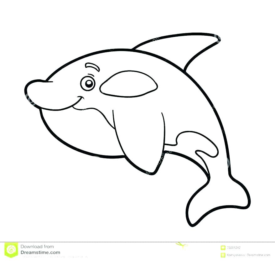 878x833 Whale Color Page Whale Color Page Whale Coloring Pages Coloring
