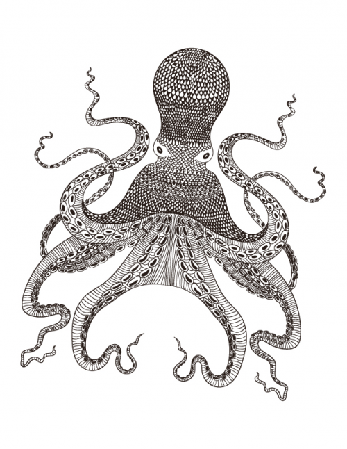 500x646 Octopus Coloring Page