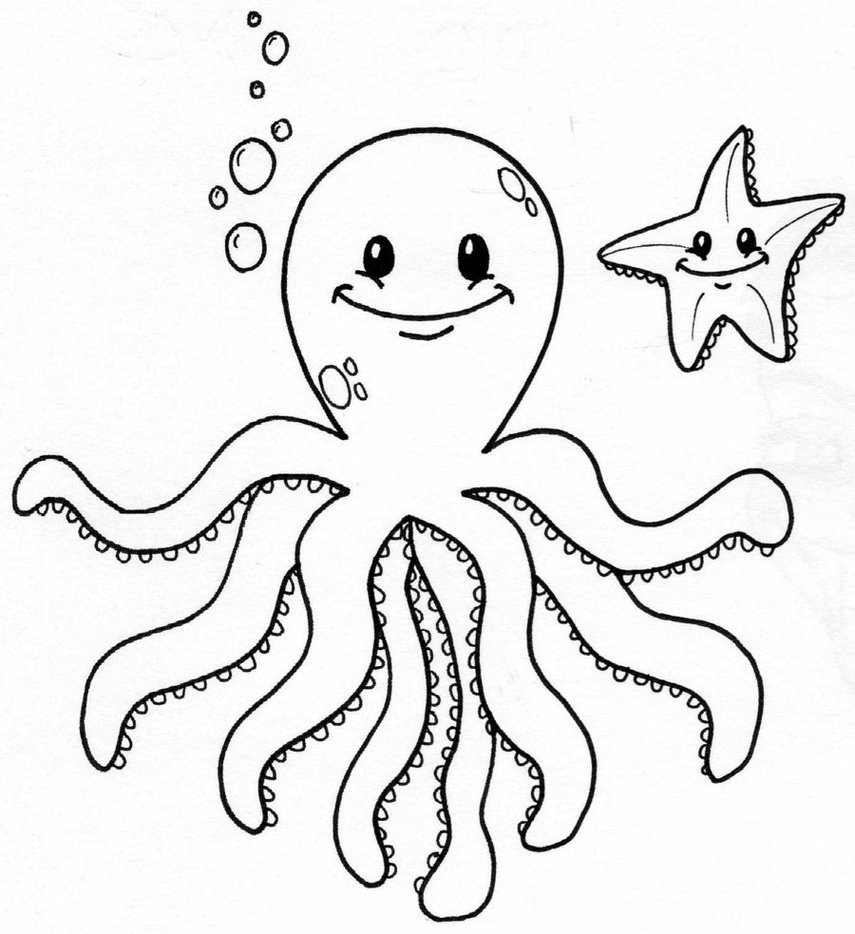 855x934 A Ordable Realistic Octopus Coloring Page Cute
