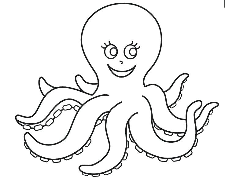 736x596 Octopus For Coloring Octopus Painting Octopus Coloring Page Pdf