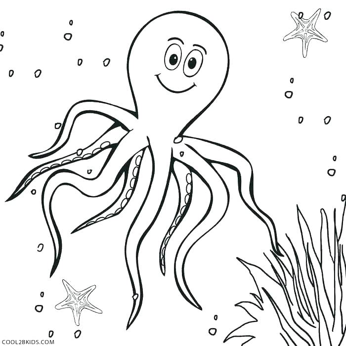 700x700 Octopus Outline Coloring Page With Octopus Outline Coloring Page