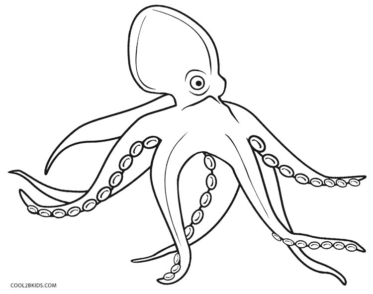 750x591 Printable Octopus Coloring Page For Kids