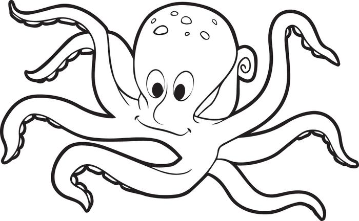 700x432 Octopus Coloring Pages Free Printable Octopus Coloring Page