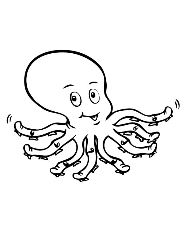 600x777 Octopus