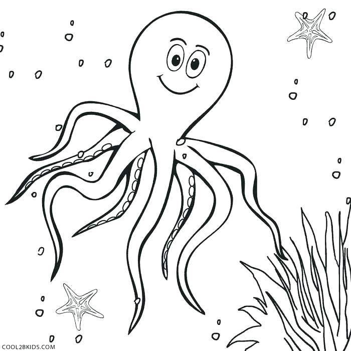 700x700 Octopus Color Page Octopus Adult Coloring Page Free Online