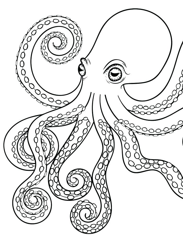 700x924 Octopus Coloring Page Octopus Adult Coloring Page For Adults