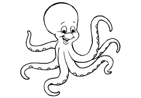 474x332 Octopus Coloring Pages Octopus Coloring Page With Printable