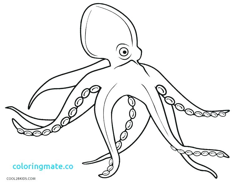750x591 Octopus Coloring Pages Octopus Coloring Pages Octopus Coloring
