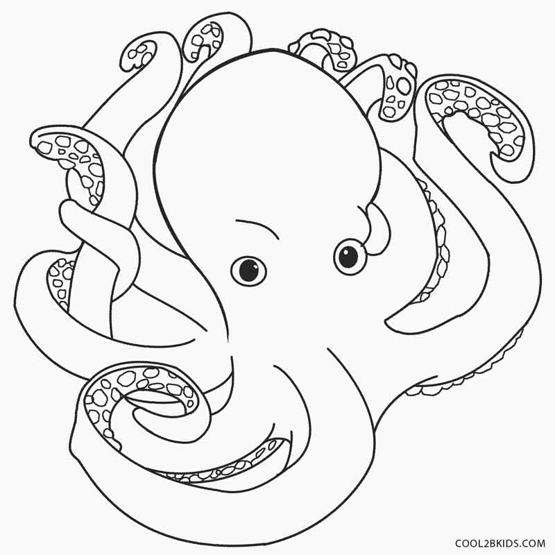 800x800 Printable Octopus Coloring Page For Kids