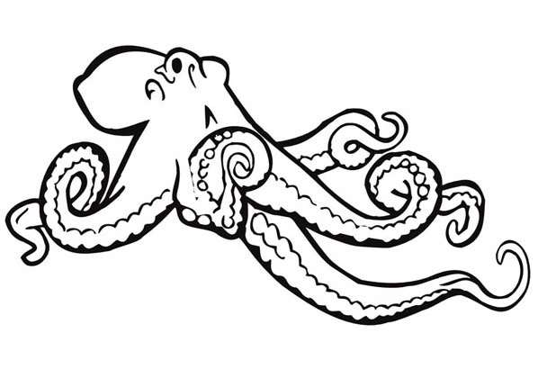 598x420 Printable Giant Octopus Coloring Page