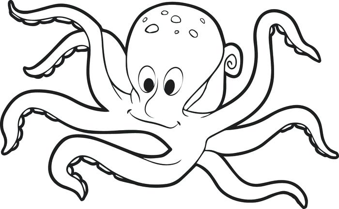 700x432 Octopus Coloring Pages