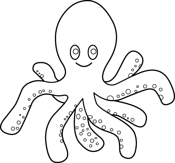 736x683 Coloring Pages Octopus Or Free Printable Octopus Coloring Pages
