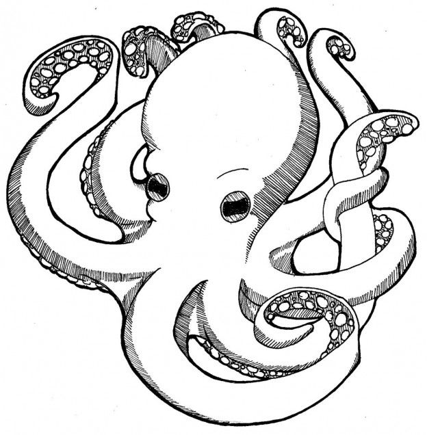 624x636 Free Printable Octopus Coloring Pages For Kids Free Printable