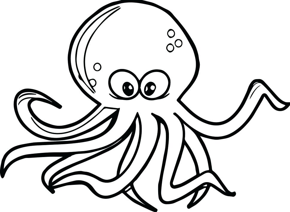 970x710 Octopus Coloring Page Preschool Stunning Octopus Coloring Pages