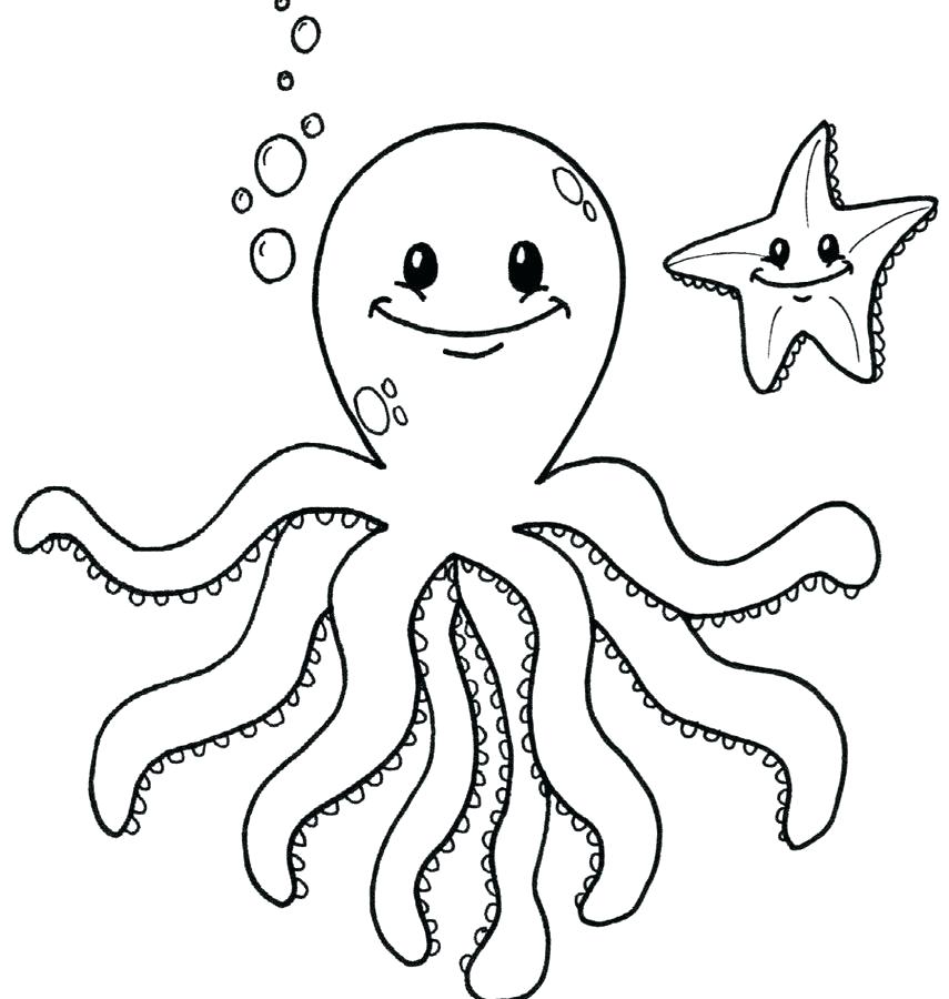 855x900 Coloring Page Octopus