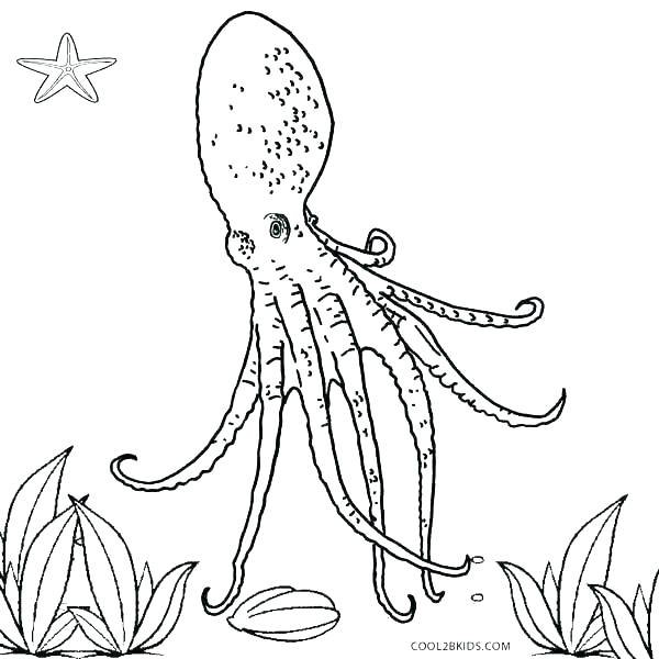 Octopus Coloring Pages For Kids at GetDrawings | Free download