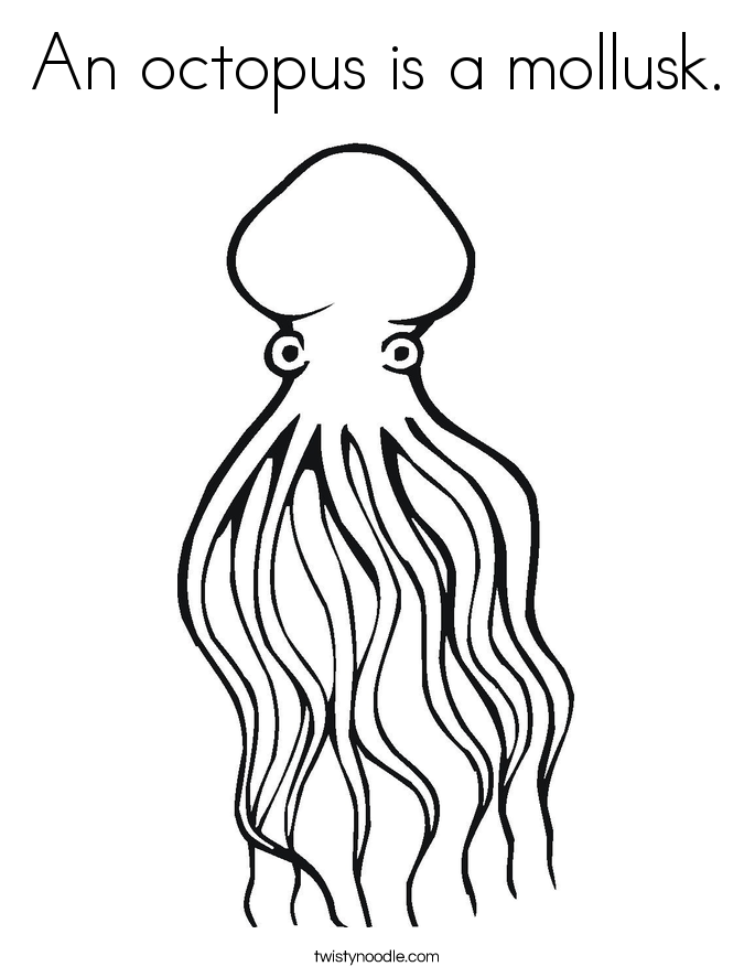 685x886 Famous Octopus Template Elaboration