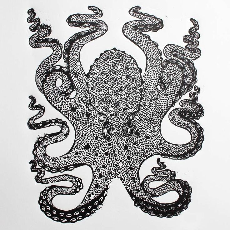 736x736 Octopus Woodcut Free Coloring Pages