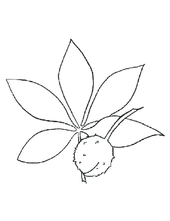 564x731 Ohio State Coloring Pages