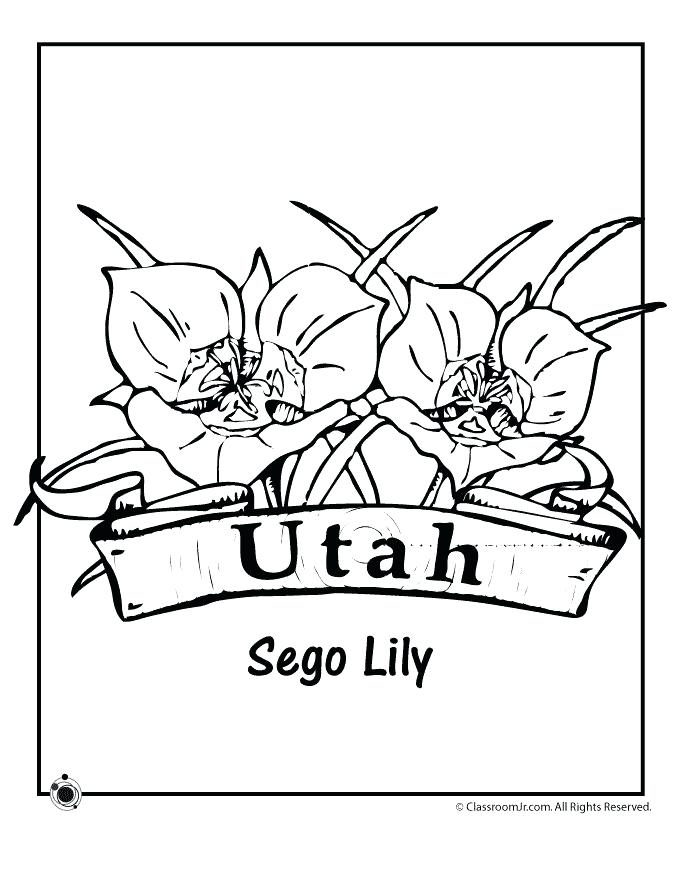 680x880 Coloring Pages Oklahoma State Flower Coloring Page Decorating