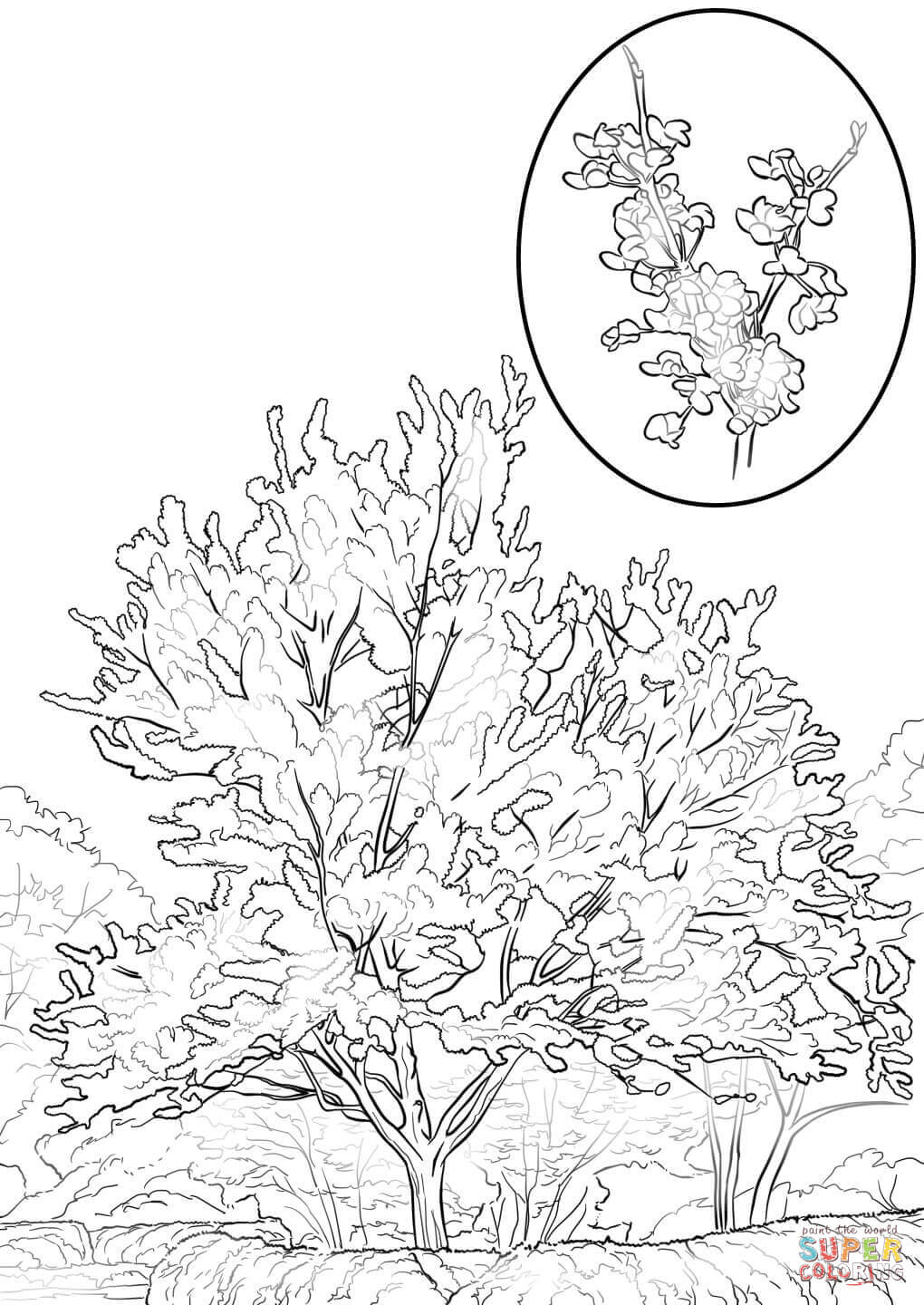 1020x1440 Latest Christmas Tree Coloring Pages For Kids Printable Plants