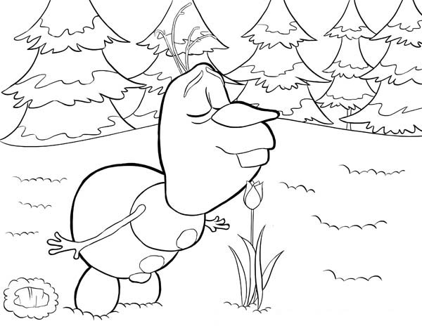 600x464 Olaf Smelling The Flower Coloring Page