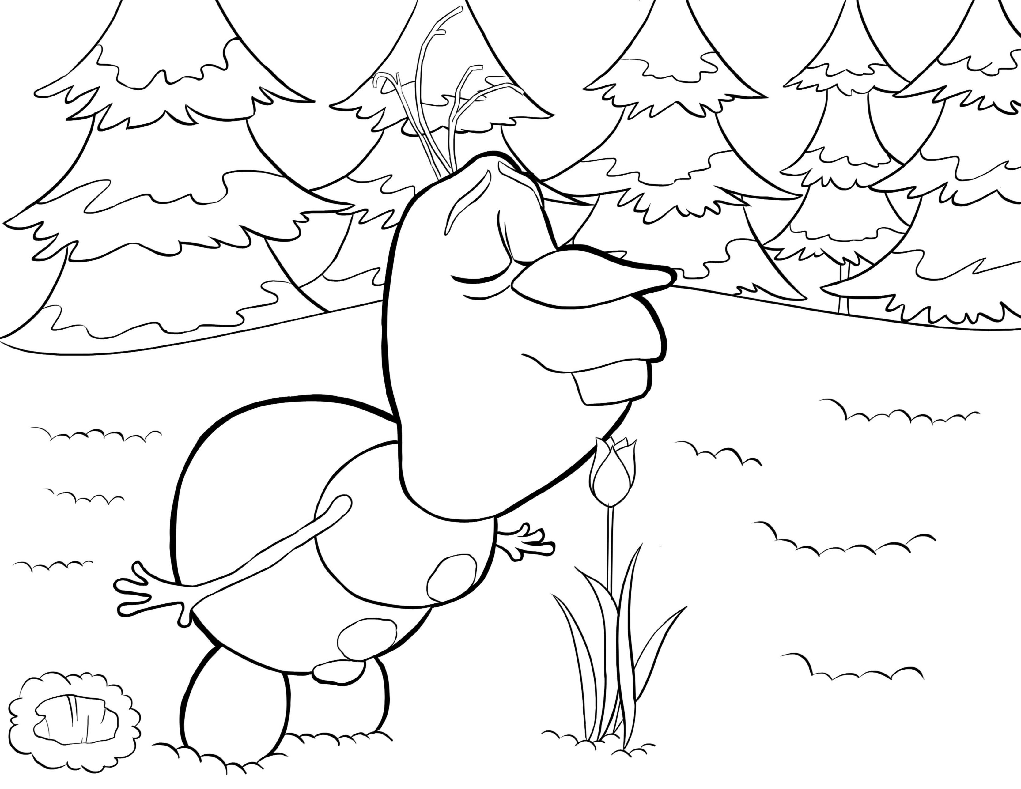 3333x2576 Frozen Olaf Coloring Pages