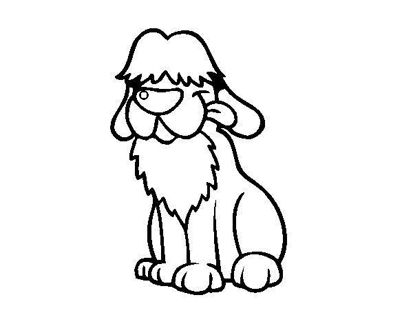 600x470 Old English Sheepdog Coloring Page