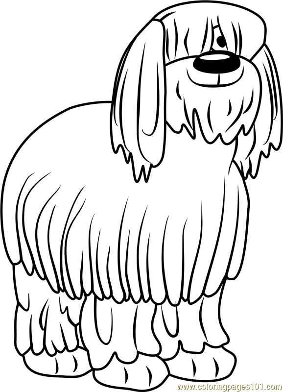 578x800 Pound Puppies Niblet The Old English Sheepdog Coloring Page