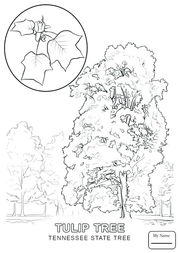 618x873 Old Fashioned Christmas Colouring Pages