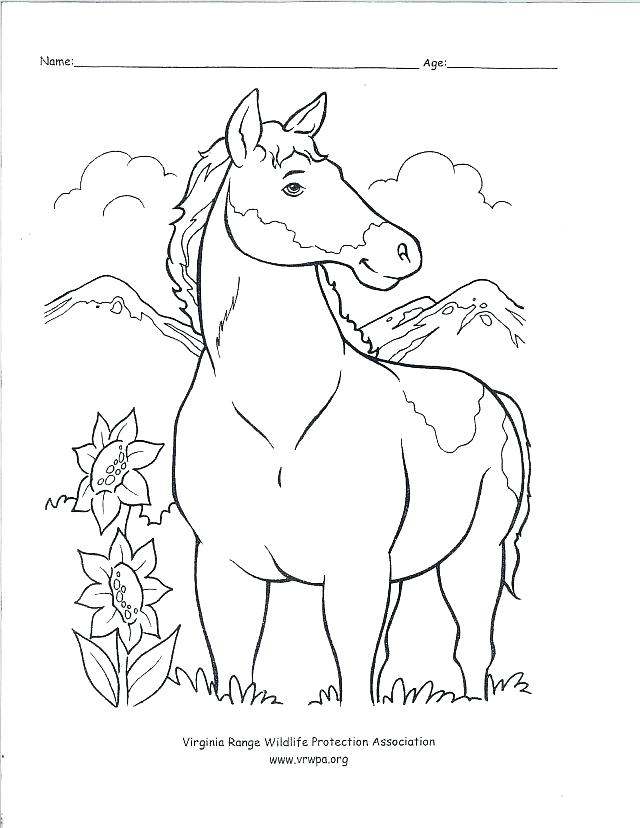640x828 Free Old West Coloring Pages Kids Coloring Western Color Pages
