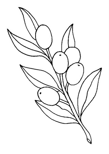 362x512 Olive Coloring Pages