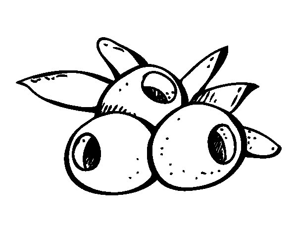 600x470 Olive Coloring Page
