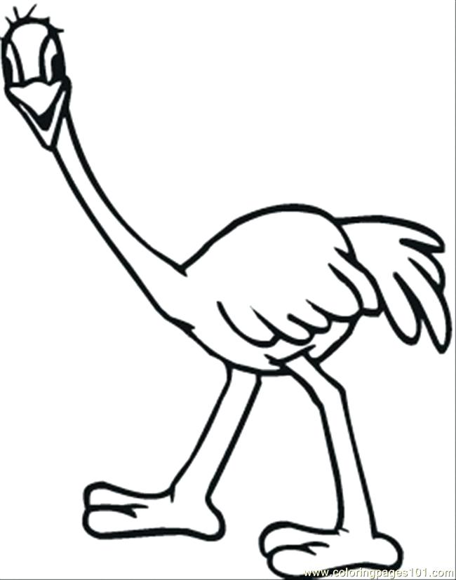 650x827 Ostrich Coloring Page Ostrich Emu Coloring Page Olive The Ostrich