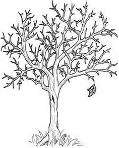 236x292 Fall Tree Without Leaves Coloring Page Tree Fall