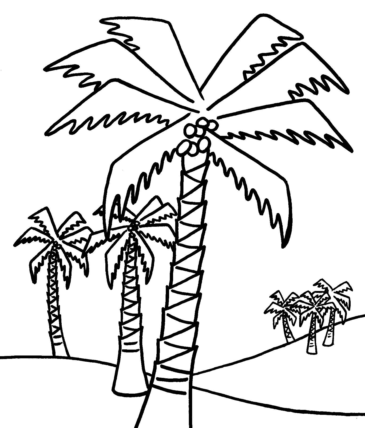 1552x1818 Inspiration Coloring Pages Olive Tree Copy Adult Coloring Pages