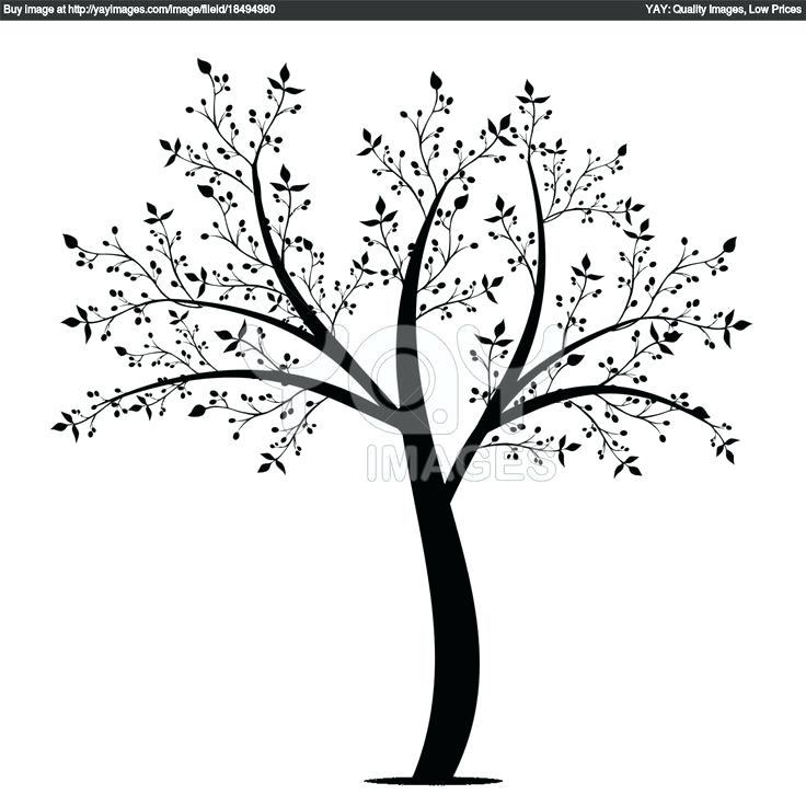 736x736 Olive Tree Coloring Page Coloring Pages Online For Adults