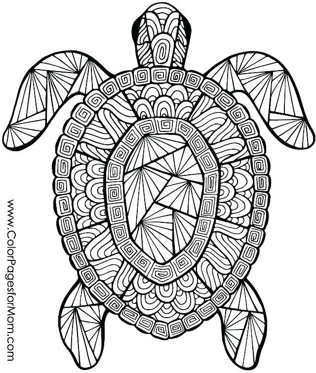 640x755 Olympic Coloring Pages Summer Coloring Pages Free Printable Free